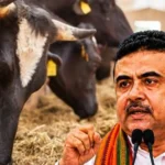 ক্ষমতায় এসেই গরু জবাই নিয়ে কঠোর নির্দেশনা পশ্চিমবঙ্গ সরকারের
