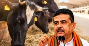 ক্ষমতায় এসেই গরু জবাই নিয়ে কঠোর নির্দেশনা পশ্চিমবঙ্গ সরকারের