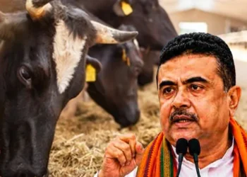 ক্ষমতায় এসেই গরু জবাই নিয়ে কঠোর নির্দেশনা পশ্চিমবঙ্গ সরকারের