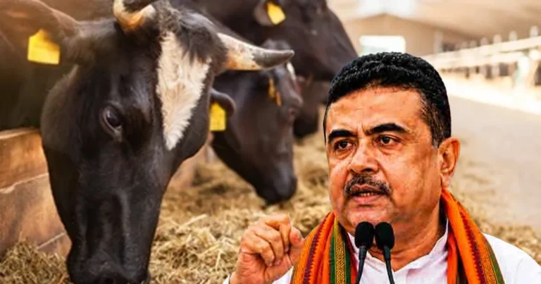 ক্ষমতায় এসেই গরু জবাই নিয়ে কঠোর নির্দেশনা পশ্চিমবঙ্গ সরকারের