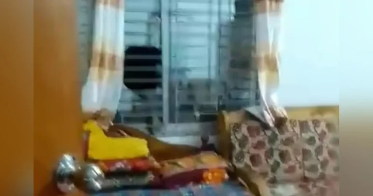 হান্নান মাসউদের বিরুদ্ধে ৩ কোটি টাকার অভিযোগ তোলা ছাত্রদল নেতার বাড়িতে হামলা