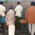 রায়চুরে মর্মান্তিক ঘটনা: তদন্তে উঠে এল চাঞ্চল্যকর তথ্য