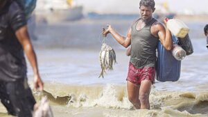 কমছে জাতীয় মাছ ইলিশের উৎপাদন, বাড়ছে দাম ও উদ্বেগ