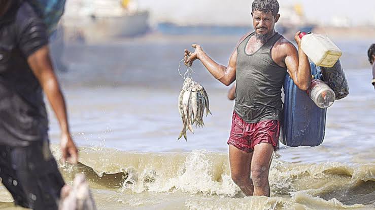 কমছে জাতীয় মাছ ইলিশের উৎপাদন, বাড়ছে দাম ও উদ্বেগ